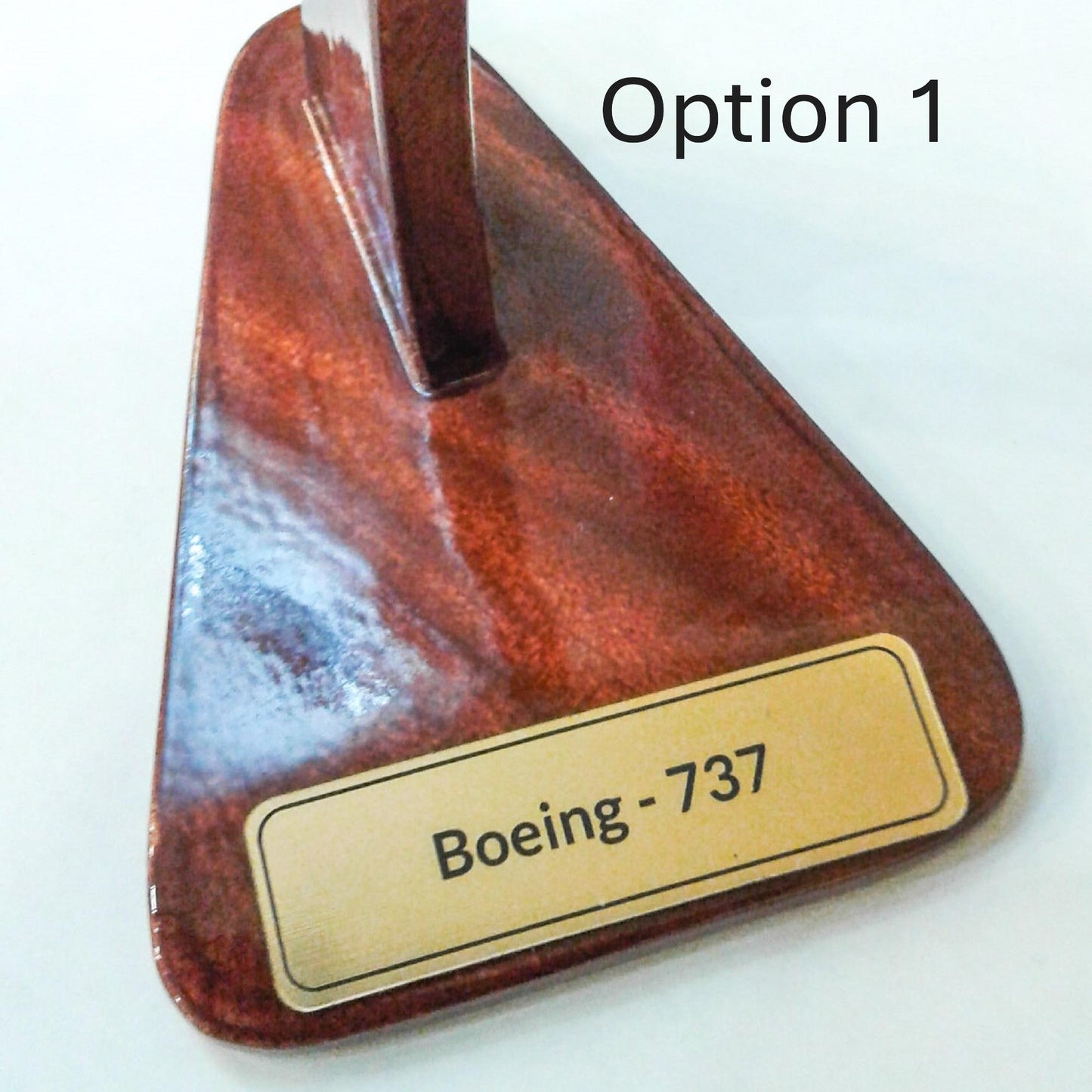 Boeing 737 Wood Model