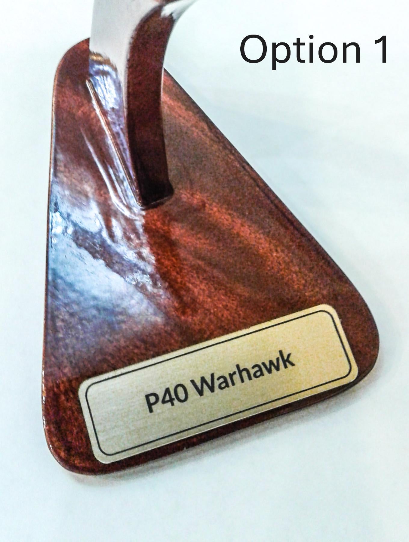 P-40 Warhawk Wood Model