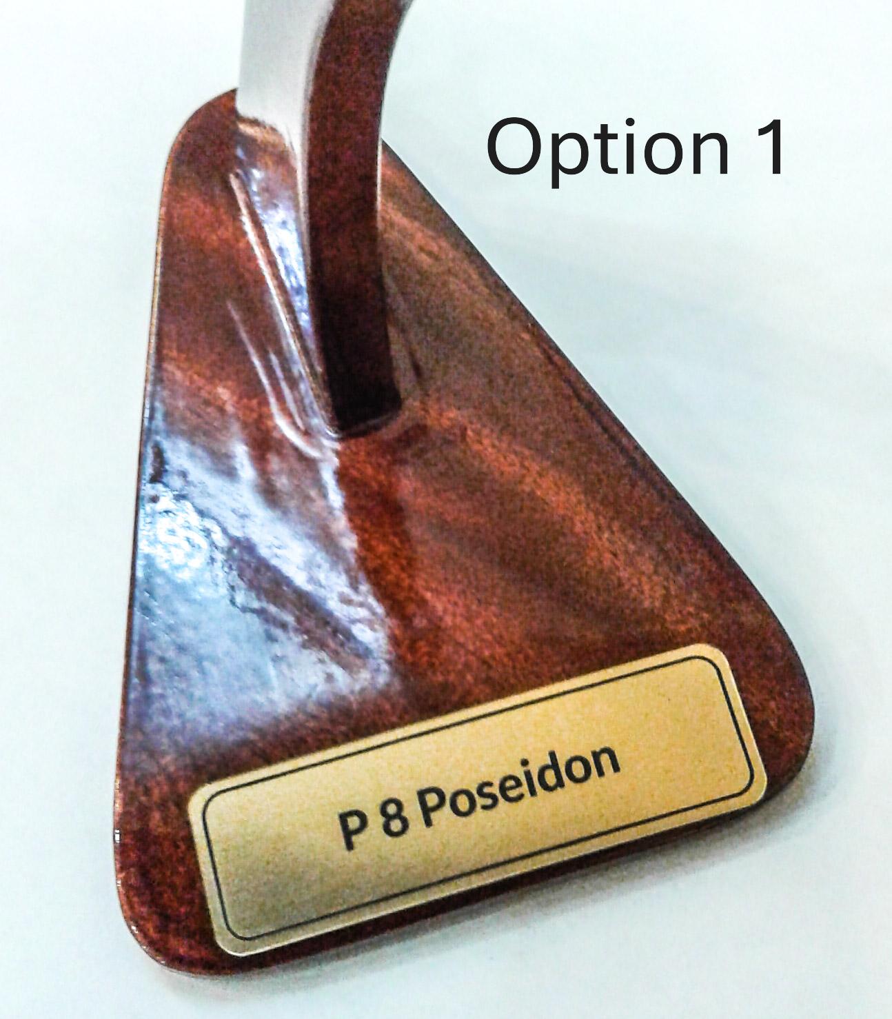 P-8 Poseidon Wood Model