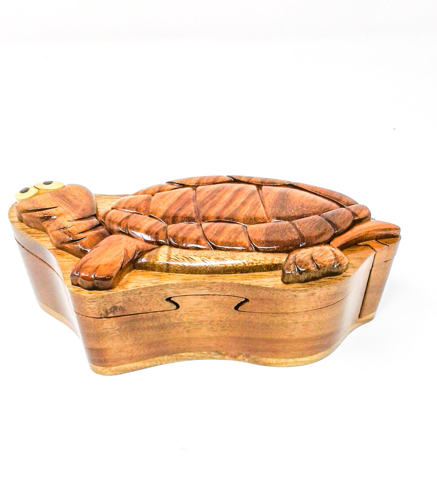 Turtle Wood Puzzle Box