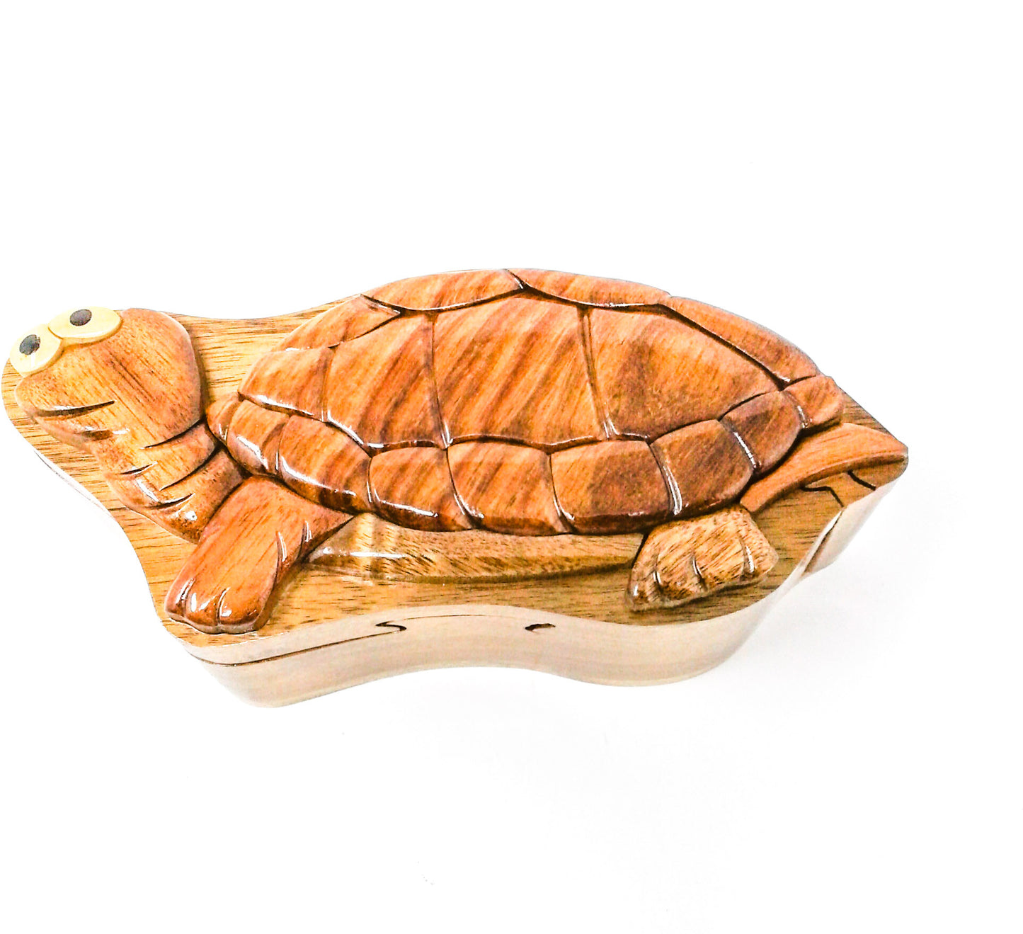 Turtle Wood Puzzle Box